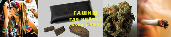 соль ск Новозыбков