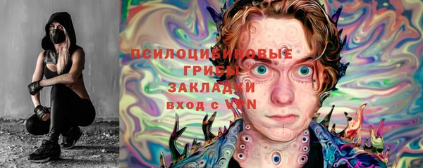 ГАЛЛЮЦИНОГЕННЫЕ ГРИБЫ Нефтекумск