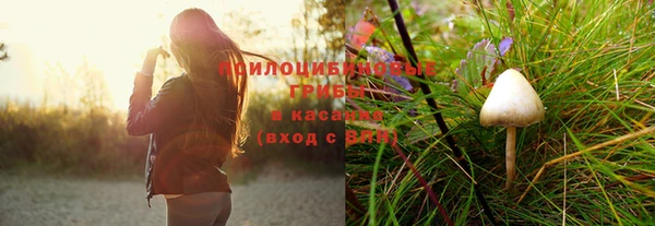 mdpv Нея