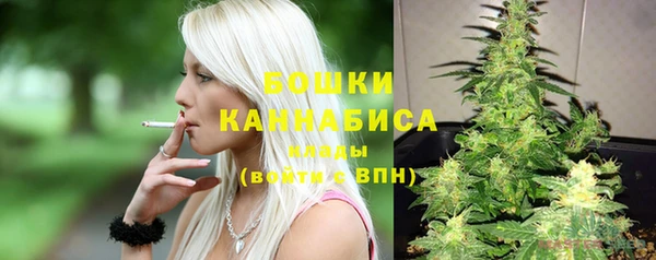 соль ск Новозыбков
