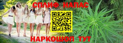 СК Канаш