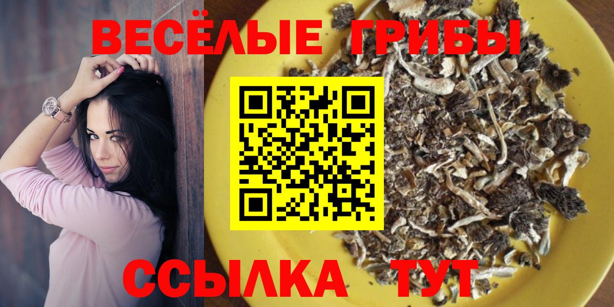 Псилоцибиновые грибы MAGIC MUSHROOMS  Вход с VPN  Лиски 