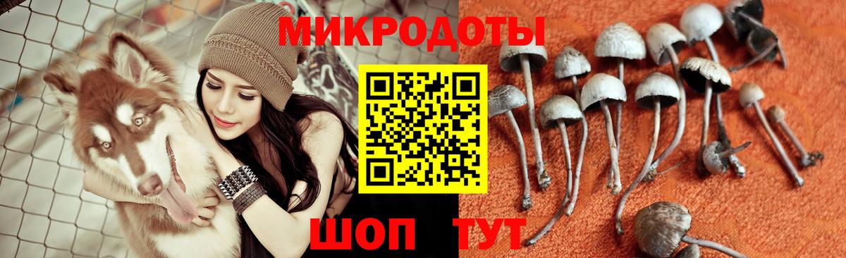 Псилоцибиновые грибы ЛСД Лиски